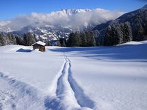 Weihnachtsgrüße der Vorsitzenden der Bundesvereinigung Lebenshilfe Ulla Schmidt