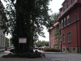 Werkstatt Radebeul Gartenstraße